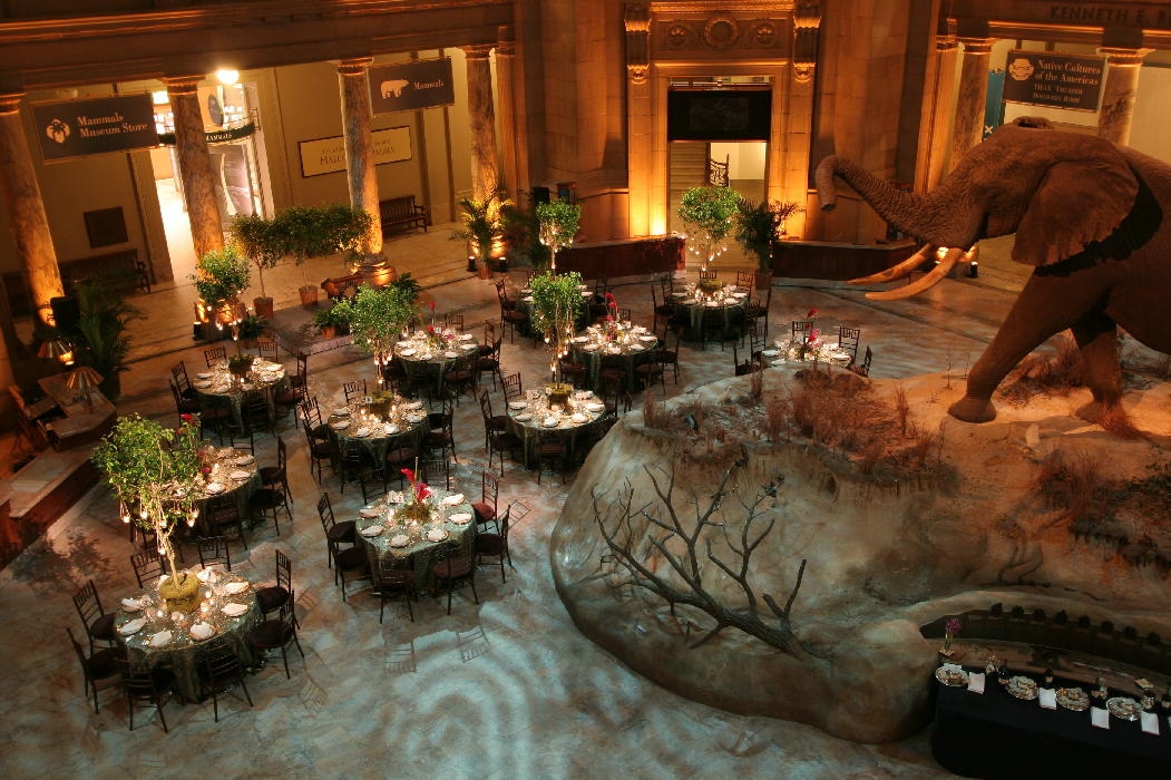 Award Dinners, Theme Parties & Entertainment